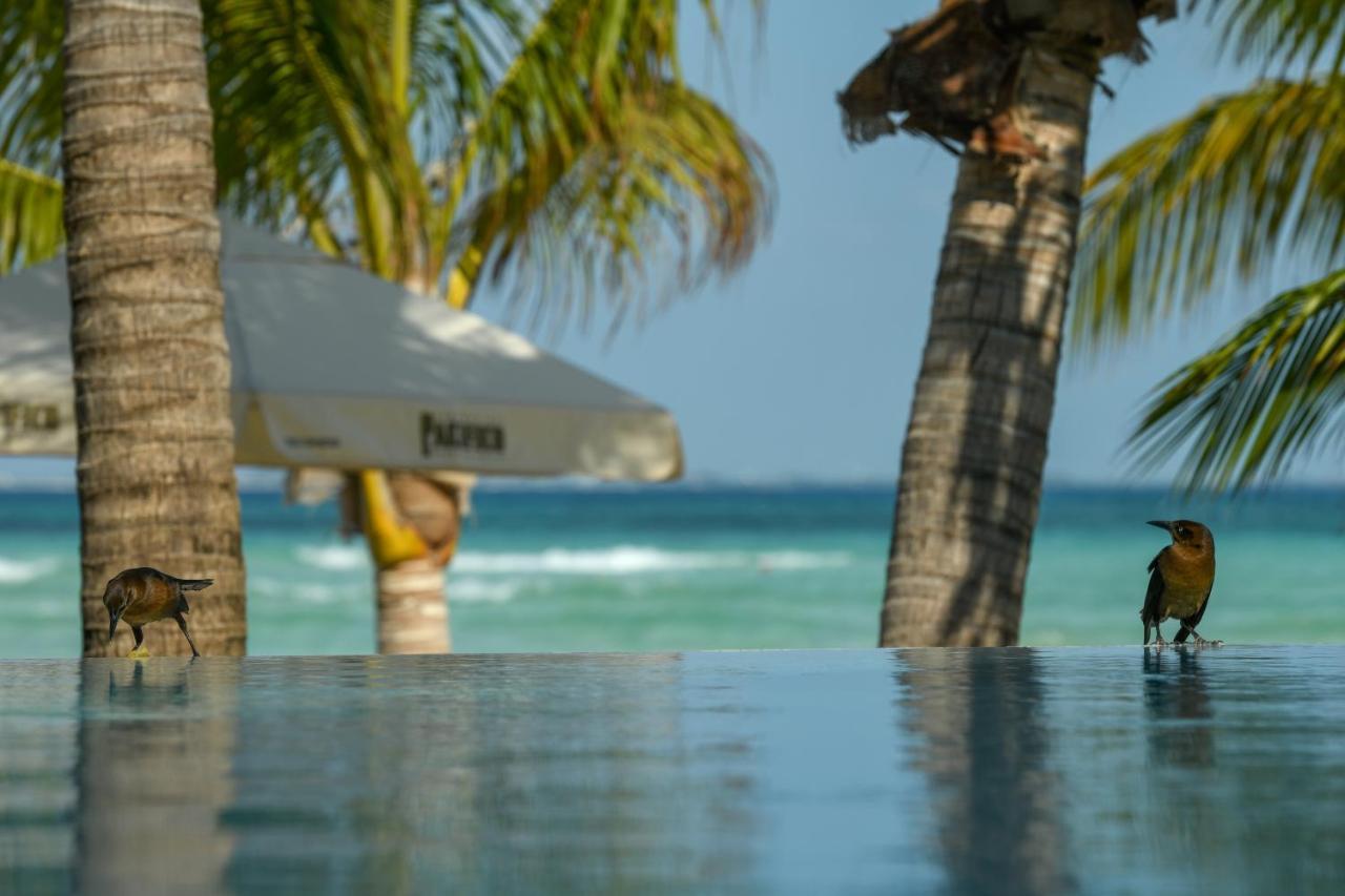Casa Del Jaguar Beach Hotel Isla Mujeres Exterior foto